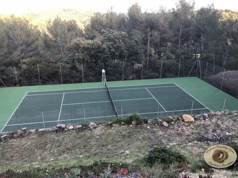 Sport court