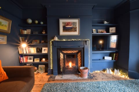 TV, fireplace, books