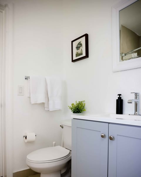 Bathtub, hair dryer, towels