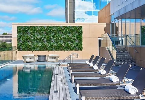 A rooftop pool, sun loungers