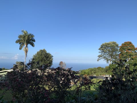 Beach/ocean view