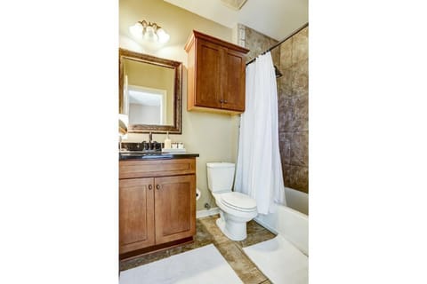 Combined shower/tub, hair dryer, towels, toilet paper