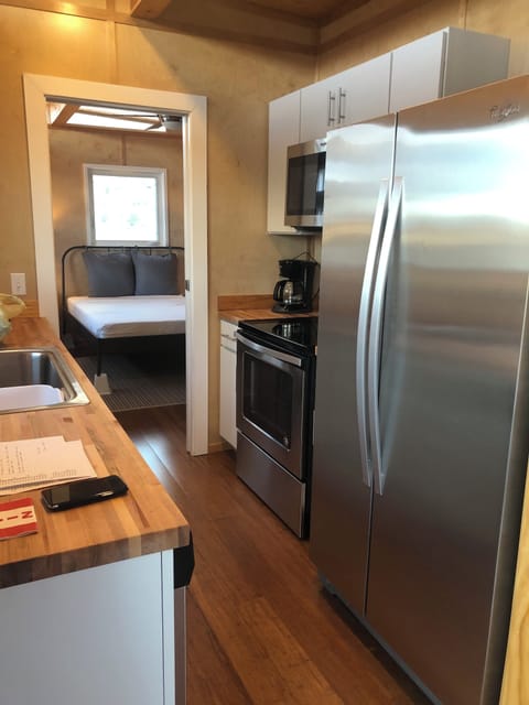 Kitchen in Modern House