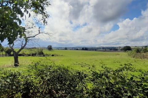 Immediate Surroundings [summer] (&lt;1 km)