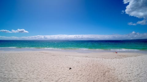 On the beach