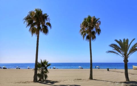 On the beach