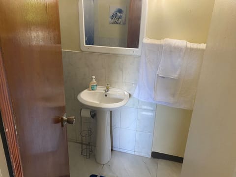 Shower, towels, soap