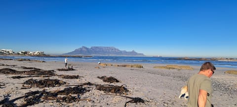 On the beach, sun loungers, beach towels