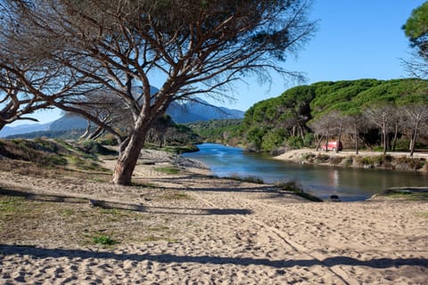 Beach nearby