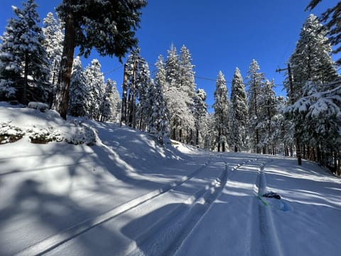 Snow and ski sports