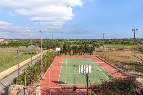 Sport court