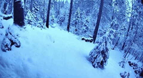 Winter 2022, view out back 