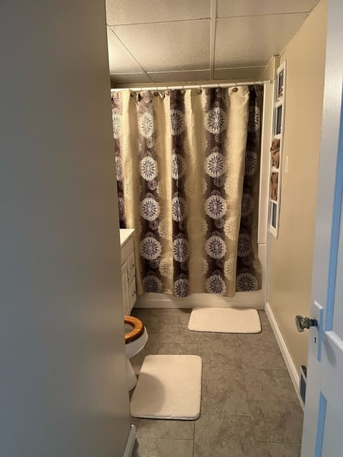 Combined shower/tub, towels, toilet paper