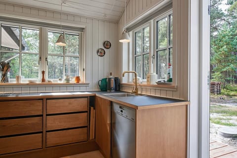 Fridge, stovetop, dishwasher, coffee/tea maker