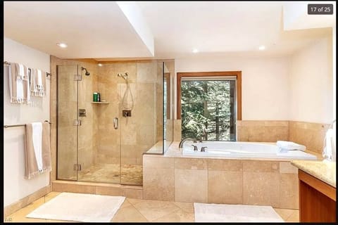 Combined shower/tub