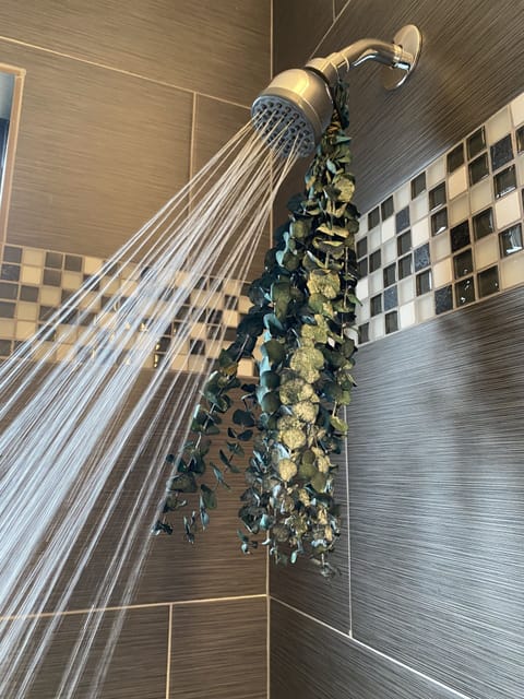 Enjoy the fragrance of fresh Eucalyptus.