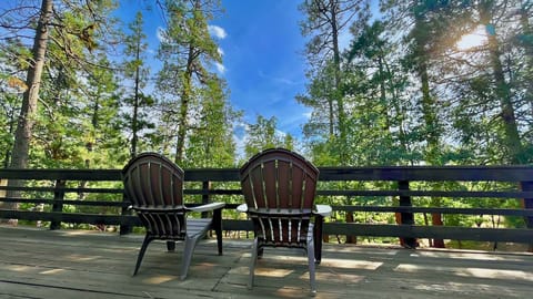 Welcome to in the Pines!