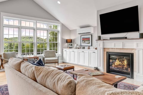 TV, fireplace, books