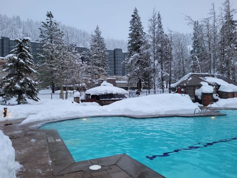 Trey’s Ski-in\/Ski-out 1 Bedroom Fireplace, Kitchen Suite, Forest View ...