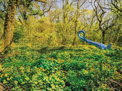 Garden and grounds | Ty Mair, Tenby