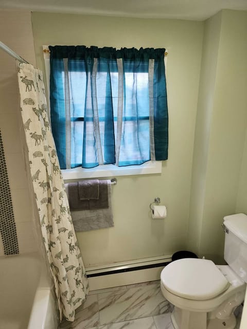 Combined shower/tub, hair dryer, towels, soap