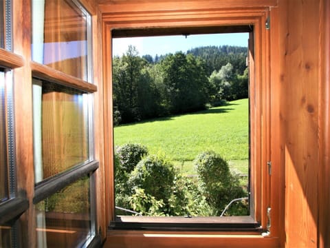 Plant, Property, Window, Light, Nature, Shade, Tree, Wood, Lighting