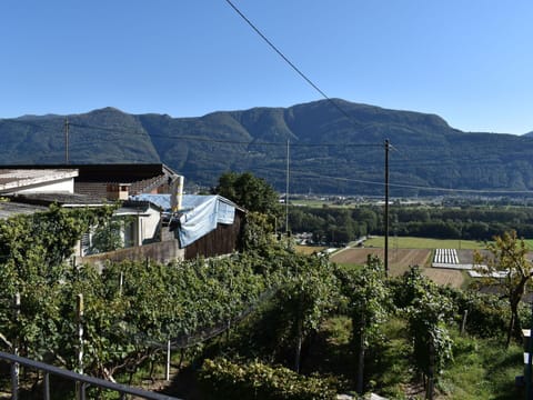 Sky, Plant, Mountain, Nature, Building, Slope, Land Lot, Window, Tree, Electricity