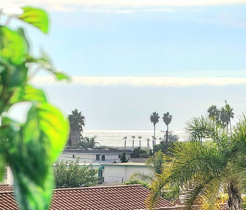 Rooftop ocean views