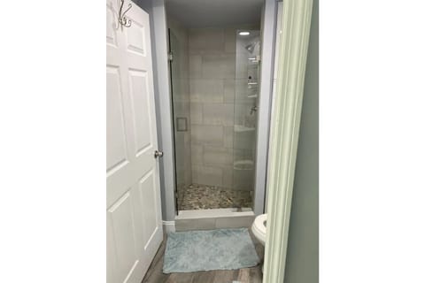 Shower, towels, toilet paper