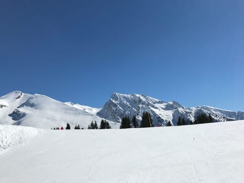 Snow and ski sports