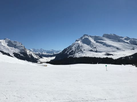 Snow and ski sports