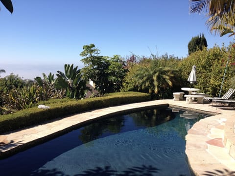 Private, Heated Pool with Ocean View