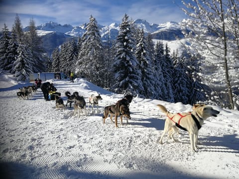 Snow and ski sports