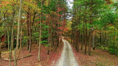 Driveway through the 25 acre property