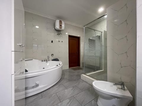 Combined shower/tub, bidet, shampoo