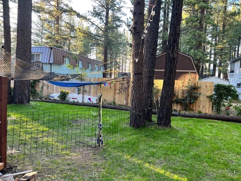 Privacy fence in backyard and shared space