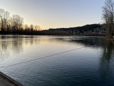 Listen to the birds frolicking in the water each and every day!