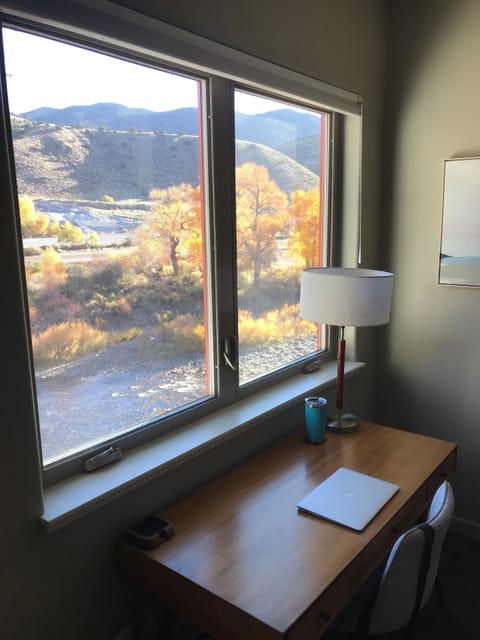 Views of the river from your desk!
