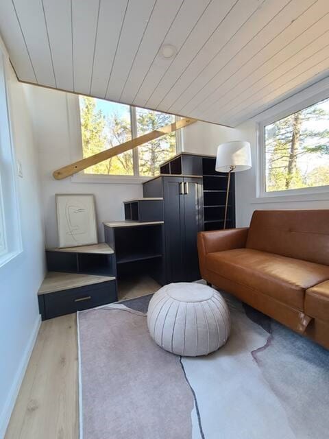 Fireplace, books