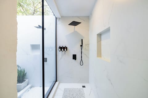 Shower, jetted tub, hair dryer, towels