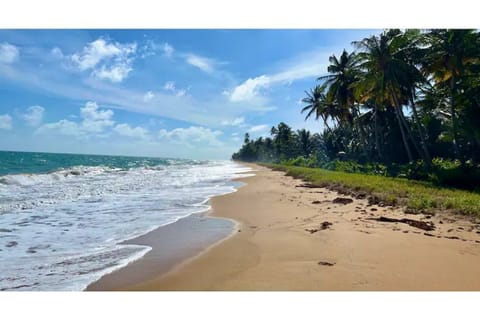 Beach nearby, beach towels