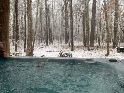 View from the hot tub in the snow!