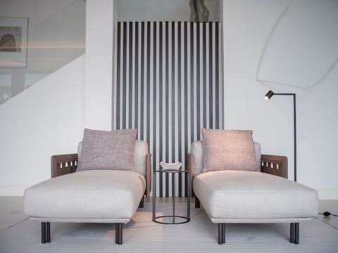 Super spacious living room with designer furniture (5)