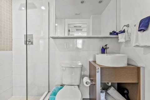 Combined shower/tub, hair dryer, towels