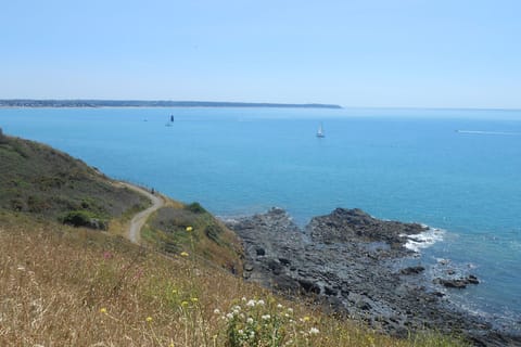 Region [summer] (&gt;5 km)