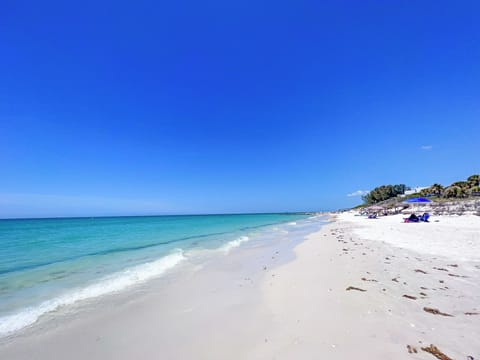 On the beach