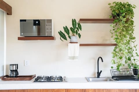 Fridge, coffee/tea maker, paper towels, dining tables