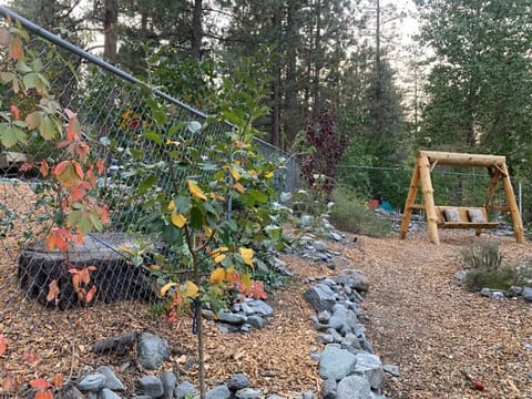 Spacious and fenced in back yard with a locally crafted log swing.