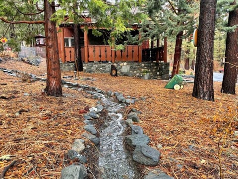 The side yard's stream is a new addition to the cabin. It runs during/after a storm or during the snow melt.