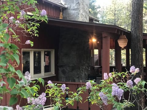 April is the month to visit Wrightwood and see all the lilacs in bloom!